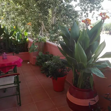 Alexandra's Holiday House * Ханья