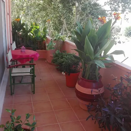 Alexandra's Holiday House